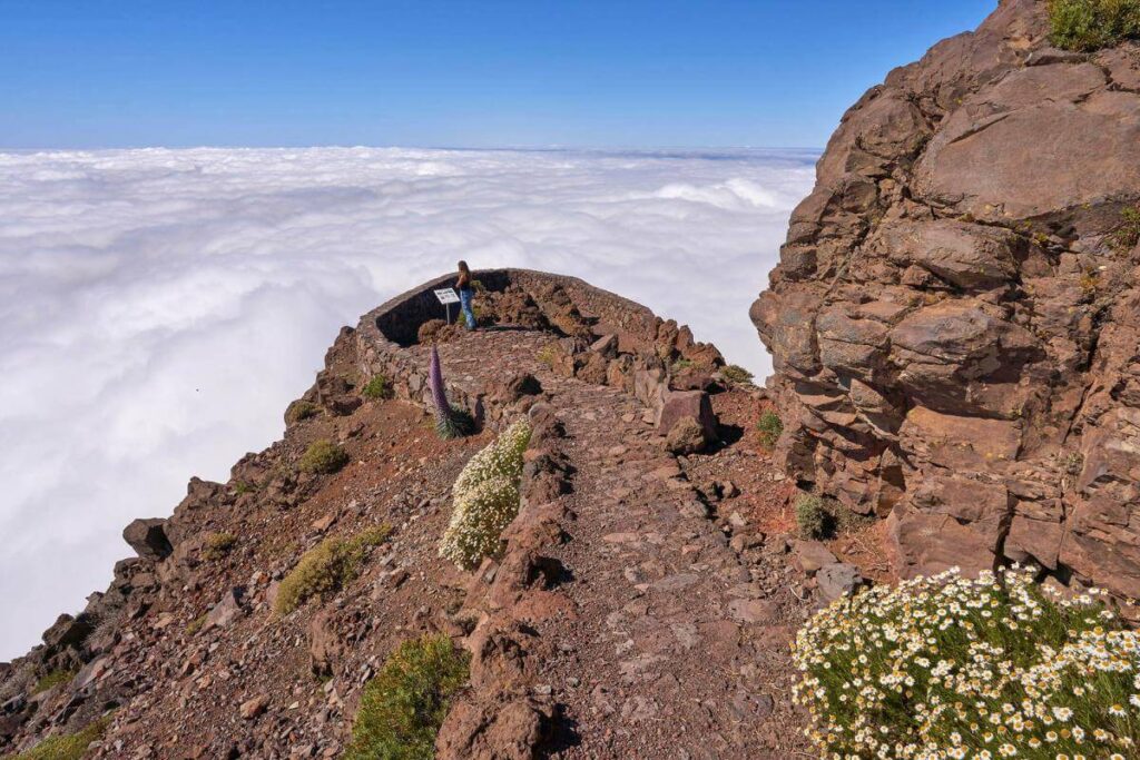 Ridge Hike at Over 2000 Meters