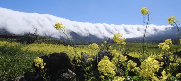 Wolkenwasserfall Wanderung La Palma