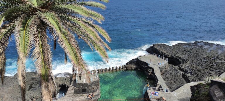 Fairytail Forest La Palma