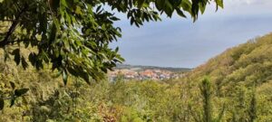 Wanderung Heilige Quellen, durch Wiesen, Wälder und Geschichte