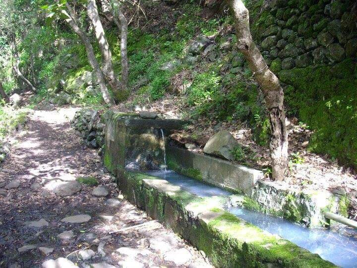 Holy Springs - A Hike Through Meadows, Forests, and History.