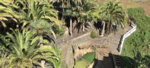 Culinary Coastal Tour - Hiking through La Palma's Fertile Coastal