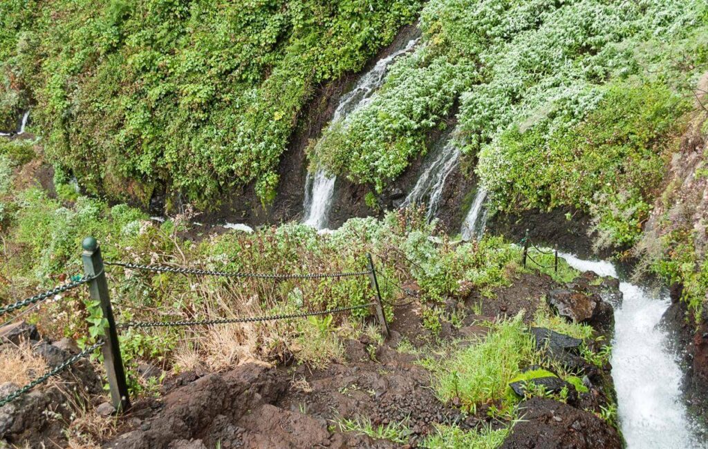 Adventurous Tunnel Tour in the Laurel Forest - Marcos y Cordero