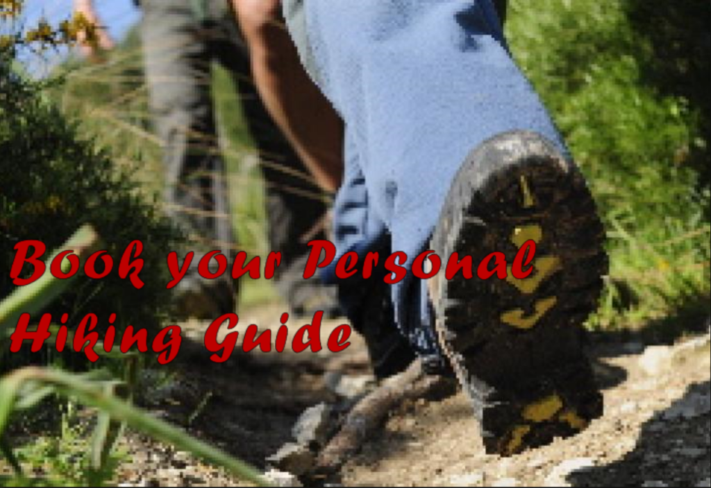 Book a Personal Hiking Guide La Palma