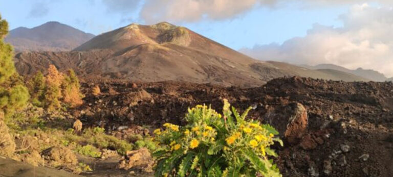 Spectacular Island Tour La Palma