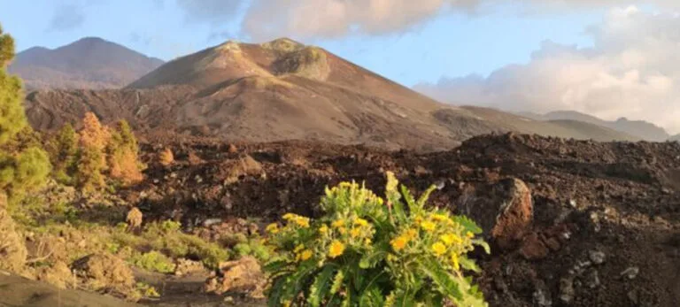 National Park and Volcano Cruise Excursion