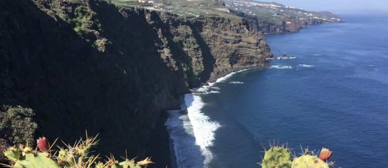 Culinary Coastal Hike