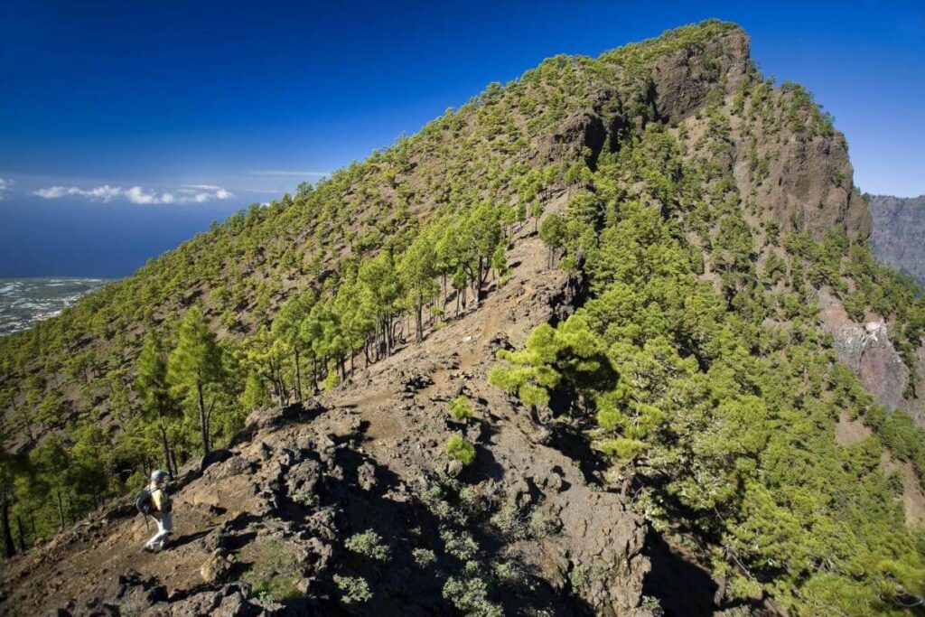 Summit Tour Bejenado, La Palma