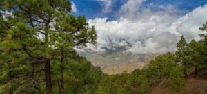 Summit Tour Bejenado, La Palma